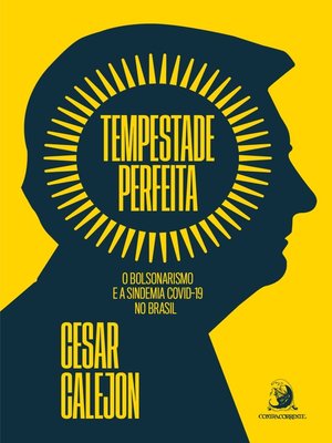 cover image of Tempestade perfeita